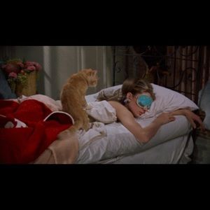 Meet your Posher, Bianca